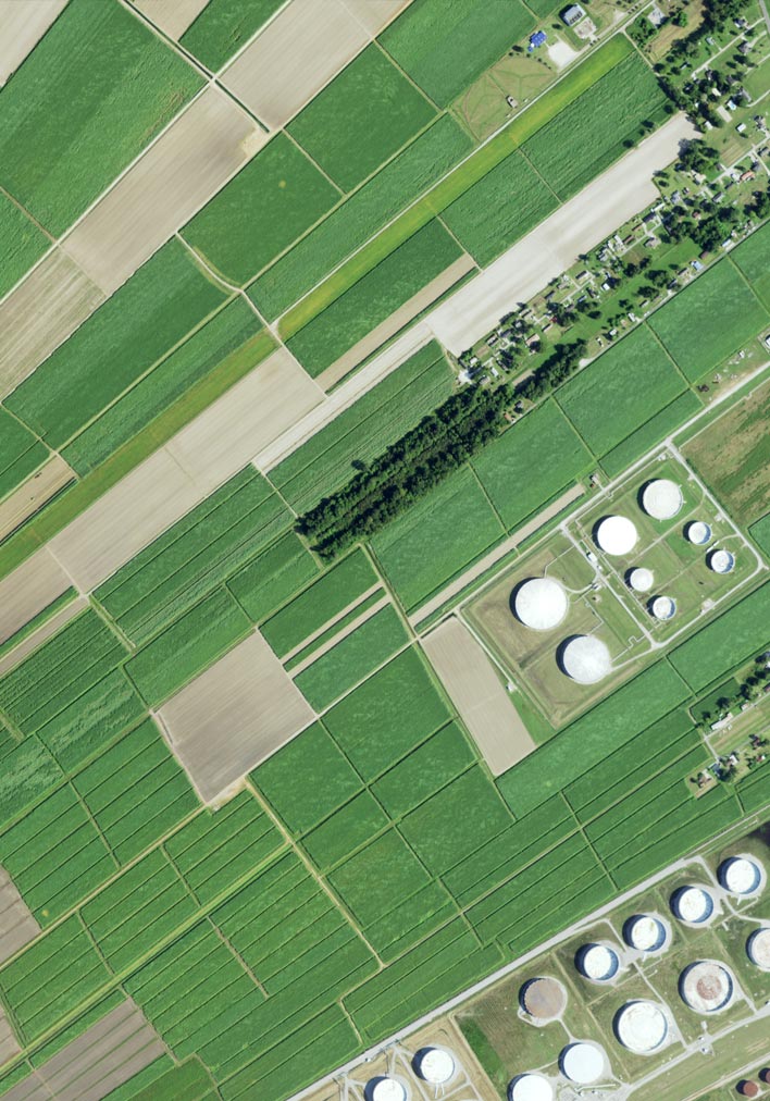 Aerial map of USDA National Agriculture Imagery Program 