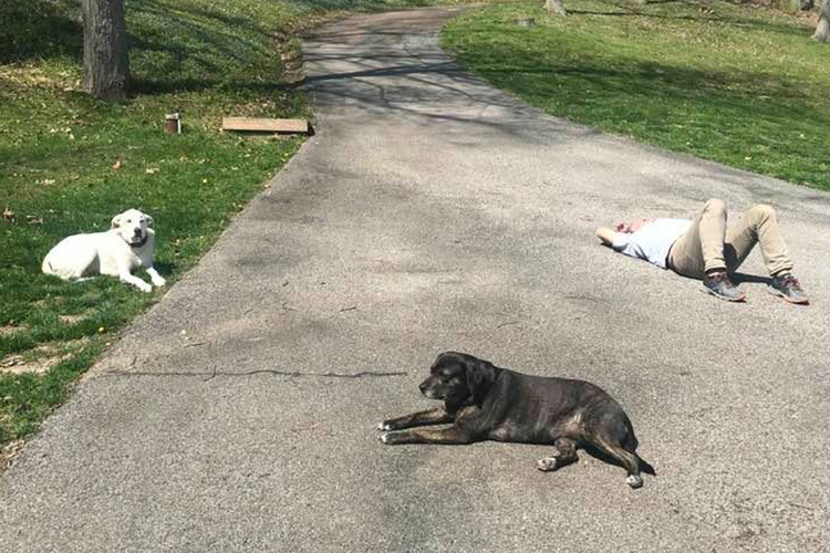 Steve Kasten catching some sun with Scout (left) and Daisy (center)